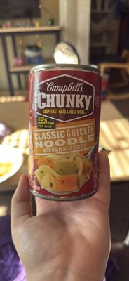 Classic Chicken Noodle Soup