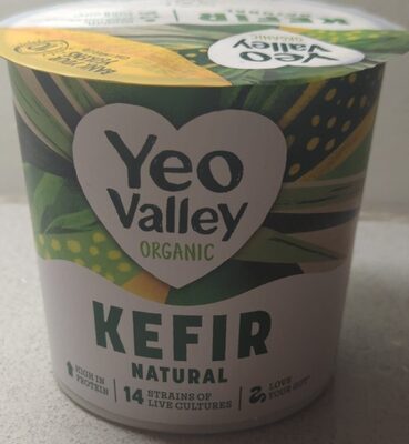 Kefir Natural Fermented Yogurt