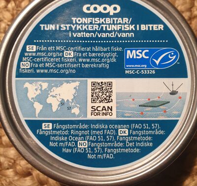Tunfisk i biter