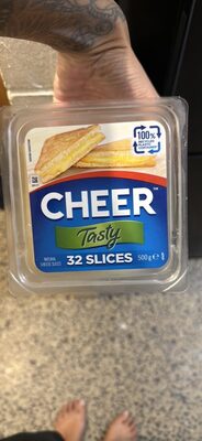 Natural Cheddar Cheese Slices